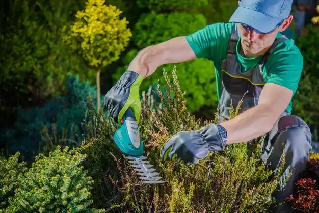 landscaping services Springwater Hamlet